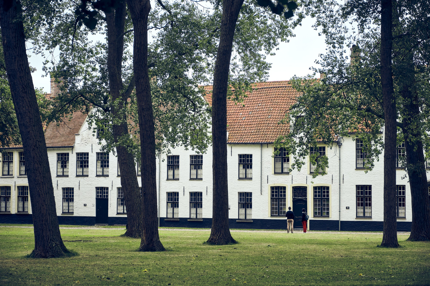 Kenyan Teachers in the United States